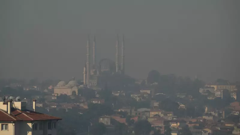 Edirne'yi Saran Dumanlar: Bulgaristan'dan Gelen Yangın Tehdidi!