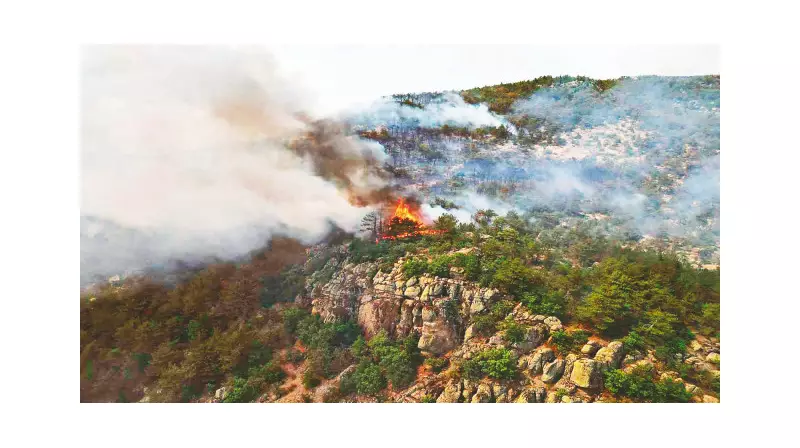 Şehit Ateşiyle Yanan Yürekler: Alevlerin Ortasında Bir Destan