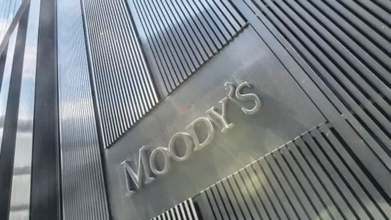 Ekonomi Canlanıyor: Büyüme Rakamları Umut Verici!