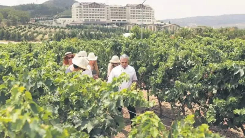 Eğlence Dolu Festivalde Renkli Anlar: Müzik, Dans ve Coşku Bir Arada!
