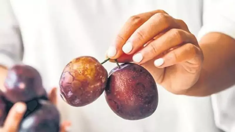 Erik Mucizesi: Kansere Kalkan, Hafızaya Dost!