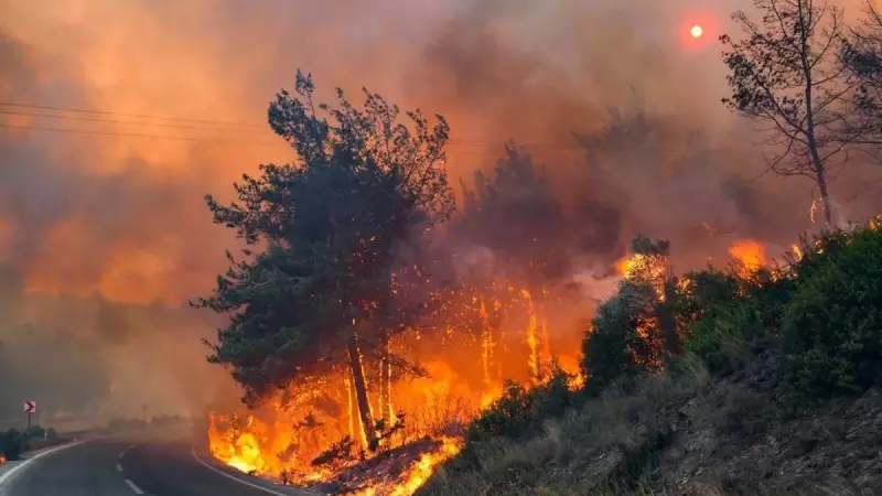 Eskişehir'deki Orman Yangını Son Durum: Alevler Kontrol Altında mı?
