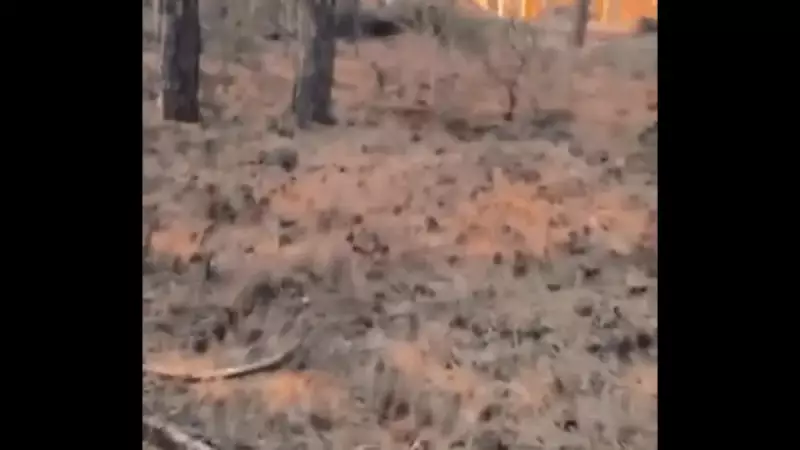 Eskişehir'deki Yangın Faciası: Acil Kodla Yardım Çağrısı ve Korkunç Görüntüler