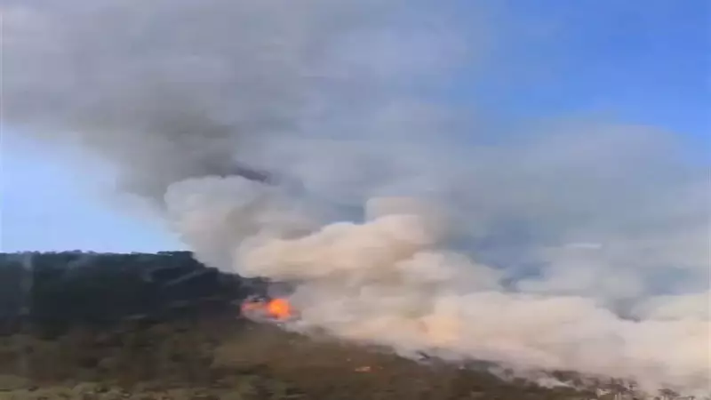 Eskişehir'de Orman Yangını Alarmı: Alevler Kontrol Altına Alınmaya Çalışılıyor!