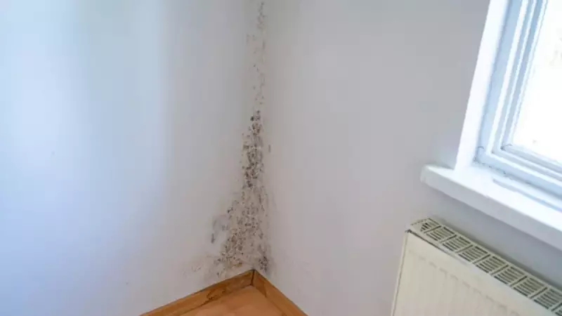 Evdeki Nem Can Sıkıyor Mu? İşte Nemle Başa Çıkmanın Pratik Yolları!