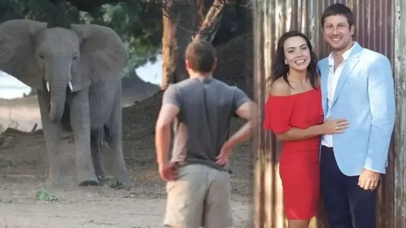 Fil Saldırısında Hayatını Kaybeden Multi Milyoner Avcı: Dramatik Son!