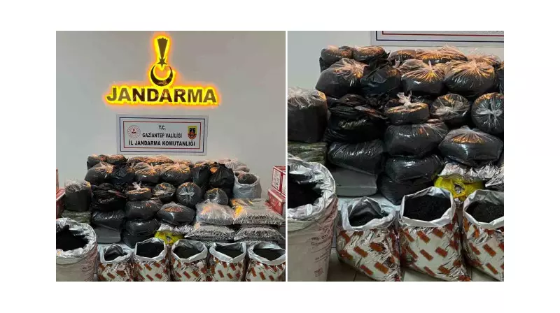 Gaziantep'te Dev Operasyon: 300 Kilo Kaçak Çay Yakalandı!