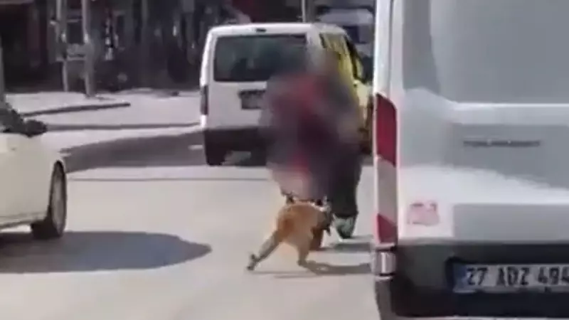 Gaziantep'te Vicdanları Sızlatan Vahşet: Köpeği Motosiklete Bağlayıp Sürüklediler!