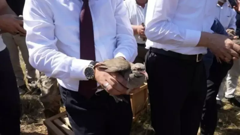 Gümüşhane'de Kene Tehlikesine Karşı Doğaya 400 Kınalı Keklik Salındı!