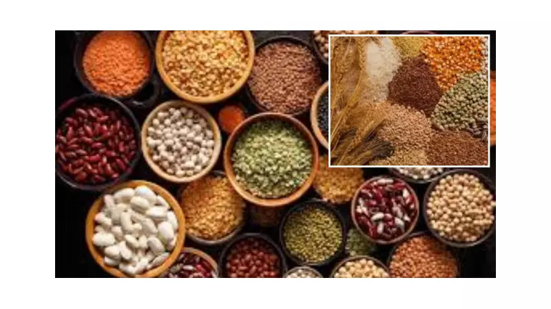 Güneydoğu’da Hububat İhracatı Patladı: İlk 6 Ayda %87’lik Artış!