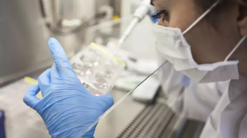 Henipavirüs Alarmı mı? Prof. Dr. Özlü Açıkladı: 'Salgın Yok, Panik Yapmayın!'