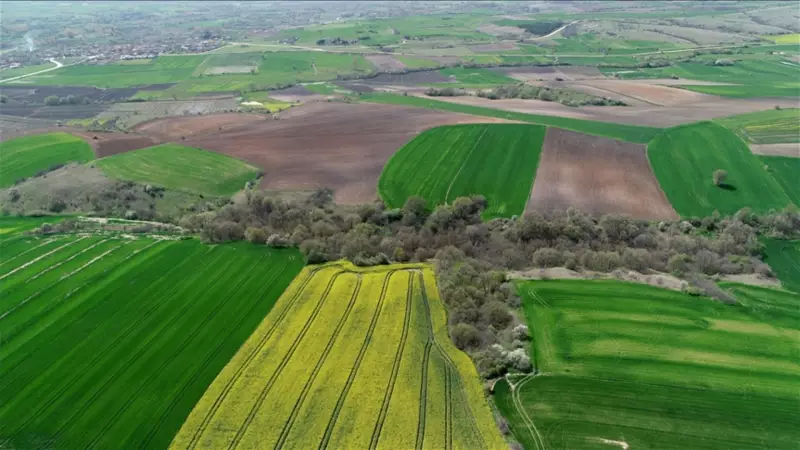 İller Bankası 12 İlde 111 Arsayı Satışa Çıkarıyor: Fırsatı Kaçırmayın!