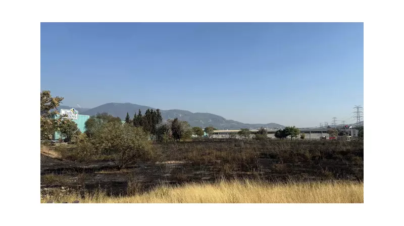 İzmir'deki Otluk Alan Yangını Kontrol Altına Alındı: İşte Detaylar