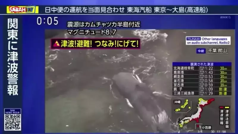 Japonya'da Tsunami Sonrası Korkunç Manzara: Balinalar Kıyıya Vurdu!
