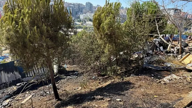 Kağıthane'de Yeşil Alan Yangını: Ekipler ve Vatandaşlar Canla Başla Mücadele Etti!