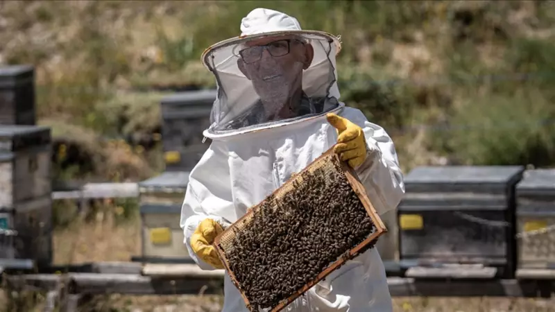 Kanseri Yenen Mehmet Dede, Arılarla İkinci Baharını Yaşıyor: 'Hayat Bana Yeniden Güldü'