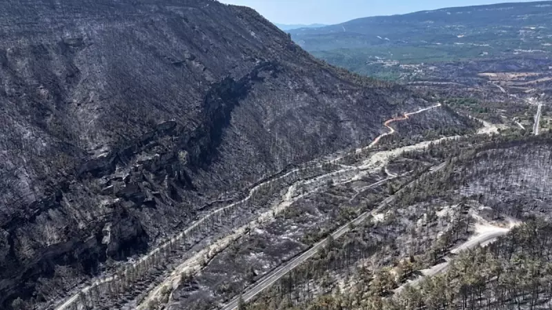Karabük Ormanları Alev Alev: Ciğerlerimiz Yanıyor!