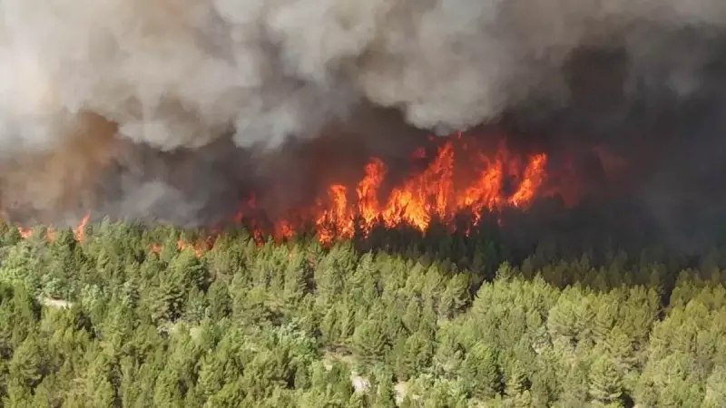 Karabük ve Manisa'da Orman Yangınları: Alevlerle Mücadele Tüm Hızıyla Devam Ediyor!