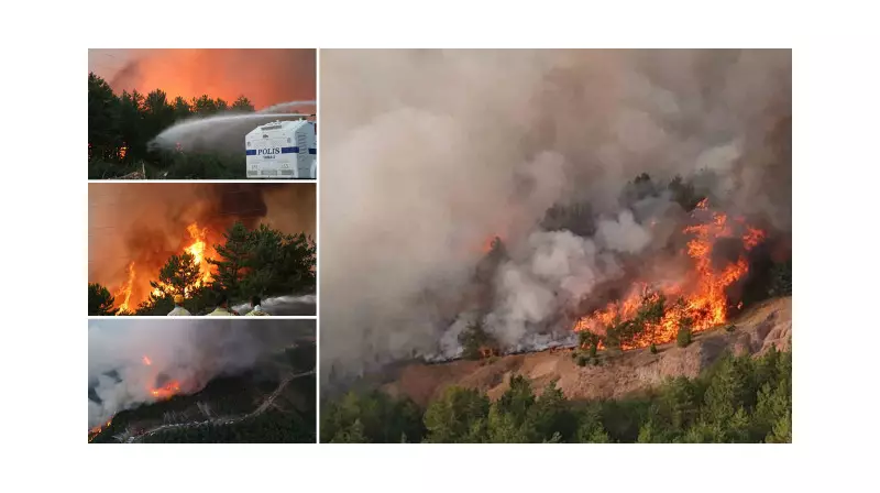 Karabük'te Alevlerle Mücadele Devam Ediyor: Yeni Orman Yangını Panik Yarattı!