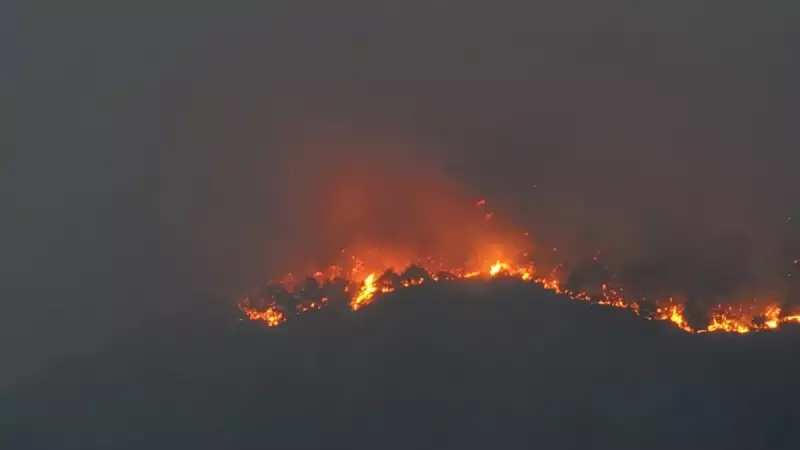 Karabük'te Orman Yangını: Havadan ve Karadan Yoğun Müdahale! Son Durum Ne?