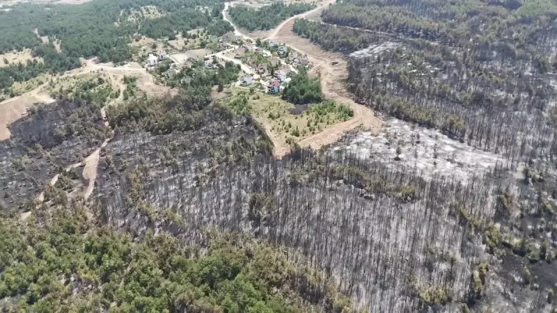 Karabük'teki Orman Yangını 7 Günün Sonunda Kontrol Altına Alındı: İşte Detaylar!
