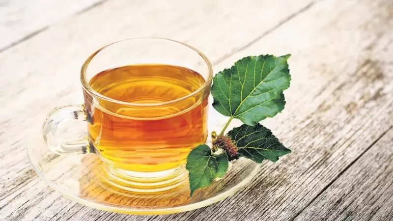 Karadut Çayı Kalsiyum Deposu Çıktı: İşte Bu Mucizevi İçeceğin Faydaları!