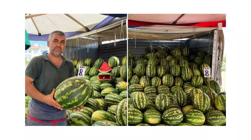 Karpuz Fiyatları Dibe Vurdu: 20 Kat Ucuz Olmasına Rağmen Talep Yok!