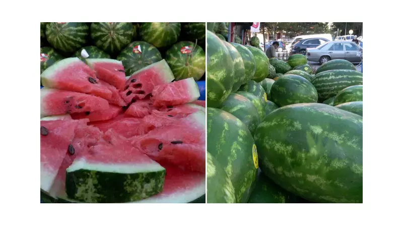 Karpuzu Yıkamadan Kesmek Ciddi Sağlık Riskleri Doğuruyor! Salmonella Tehlikesine Dikkat