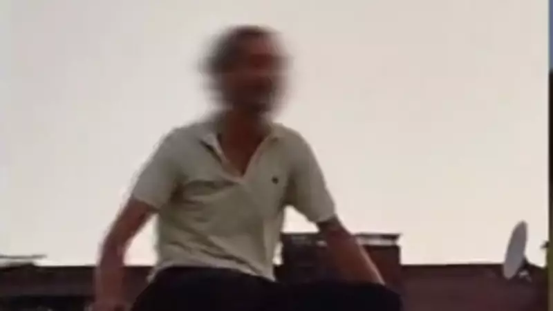 Köpek Balıkları Kıyıya Vuruyor: Oksijen Azlığı Tehlikesi Kapıda!