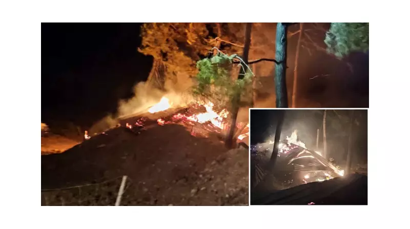 Korkunç Yangında Küçükbaş Hayvanları Telef Oldu, Irk Çalışmaları da Kül Oldu!