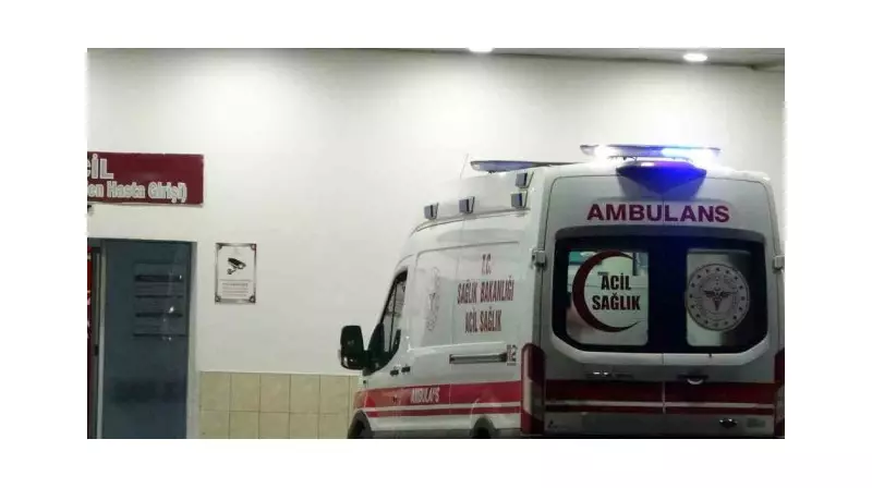 Köpek Korkusuyla Kaçan Çocuğa Araba Çarptı: İşte Yaşanan O Acı Olay