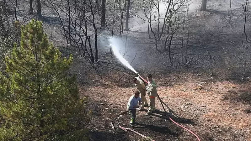 Kütahya'daki Orman Yangını Son Dakika: Alevler Kontrol Altında!
