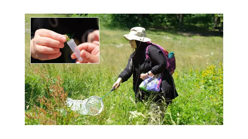 Kuzuyayla'da Doğa Harikası: 144 Farklı Kuş Türü Bir Arada!