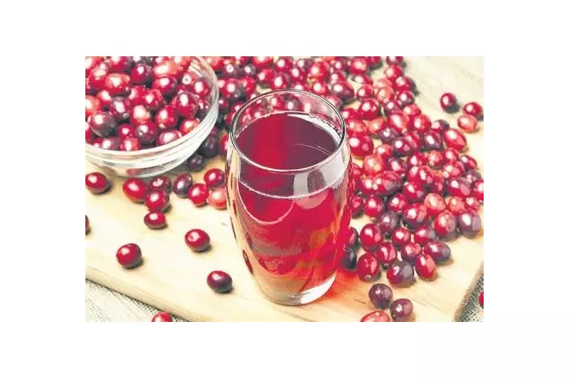 Kızılcık Mevsimi Geldi mi? İşte Lezzet Dolu Faydaları ve Kullanım Önerileri!