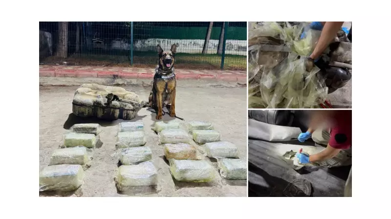 Mailo'nun Keskin Burnu: Benzin Deposunda 20 Kilo Uyuşturucu Yakalandı!