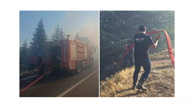 Malatya'da Alevlerle Mücadele: Orman Yangınına Havadan ve Karadan Müdahale!