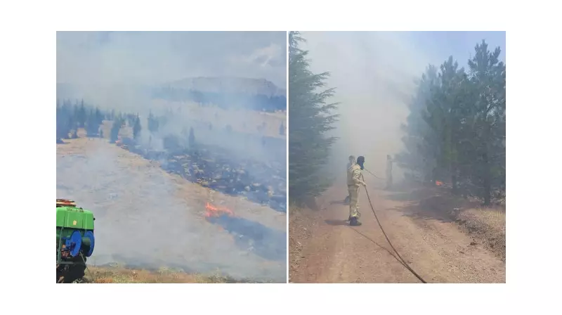 Malatya'da Orman Yangını: Alevler Yeşil Dokuyu Tehdit Ediyor!