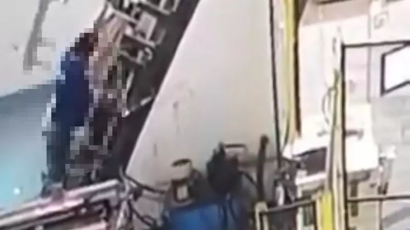 Malazgirt Savaşı'nın Yapıldığı Alanda Tarihi Keşif: 200'den Fazla Metal Obje Bulundu!