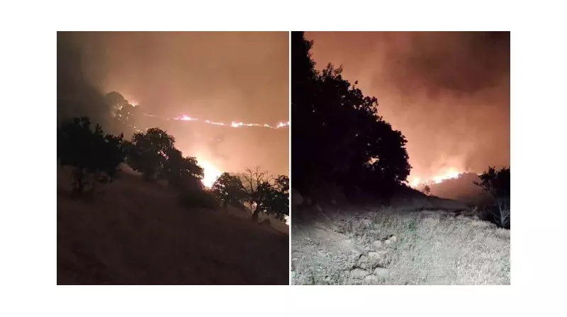 Manisa'nın Köprübaşı İlçesinde Orman Yangını: Alevler Rüzgârla Birlikte Hızla Yayılıyor!