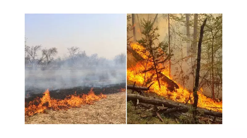 Mardin'de Anız Yakma İddiası: Bir Kişi Gözaltında!