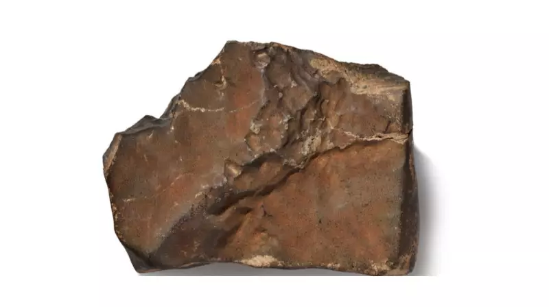 Mars'tan Gelen Meteorit Rekor Fiyata Satıldı: Uzayın Hazinesi Dünyada!