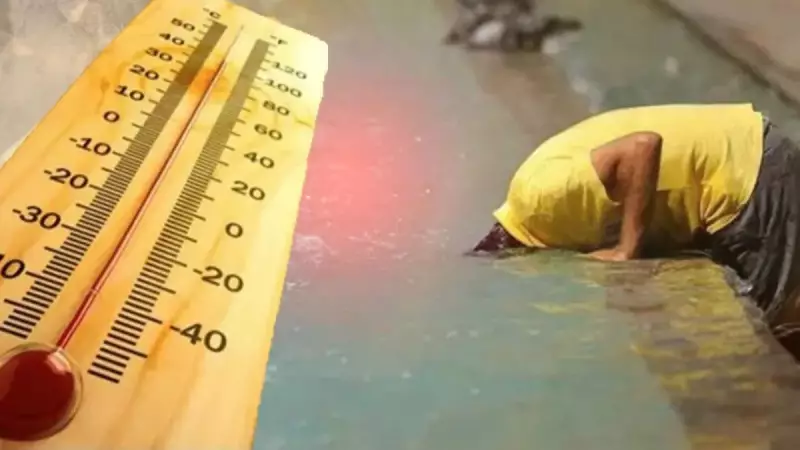 Meteoroloji Alarm Verdi: Afrika Sıcakları Türkiye'yi Kavuracak! Gölgede 45 Dereceyi Aşacak