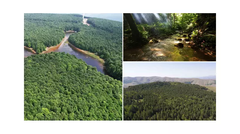 Meteoroloji Alarm Verdi: Ankara, Yalova ve Sivas'ta Sokağa Çıkma Yasağı!