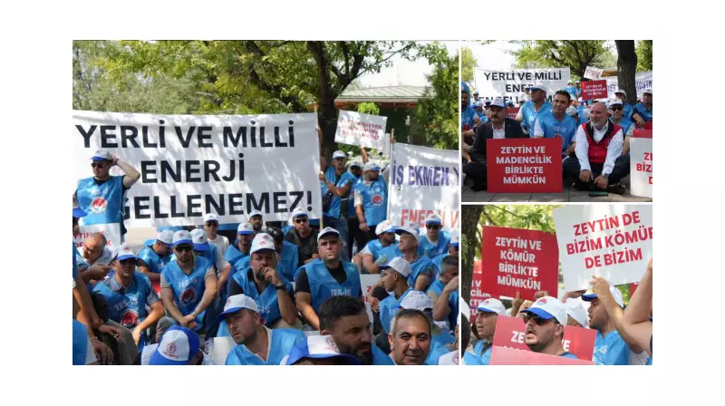 Milas Muhtarları ve TEMA Vakfı'ndan Maden Yasası'na Destek: 'Köylerimiz ve Zeytinlerimiz Güvende!'