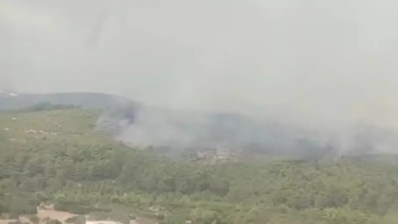 Muğla'da Yıldırımın Kıvılcımıyla Başlayan Orman Yangını: Can Pazarı!