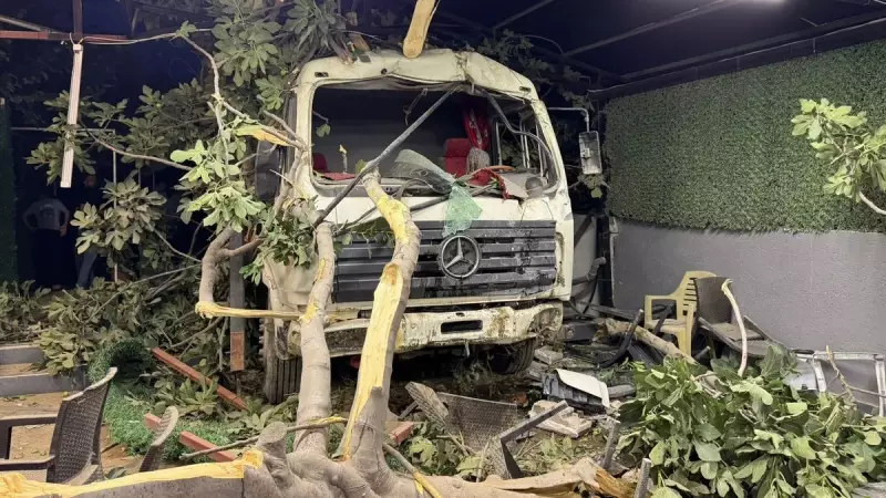 Muğla'nın İztuzu Sahili'nde 350 Deniz Kaplumbağası Yavrusu Mavi Sularla Buluştu!