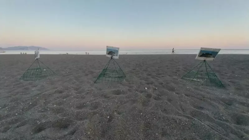 Muhteşem Doğa Olayı: İztuzu Sahili'nde Caretta Caretta Yavruları Denizle Buluştu!