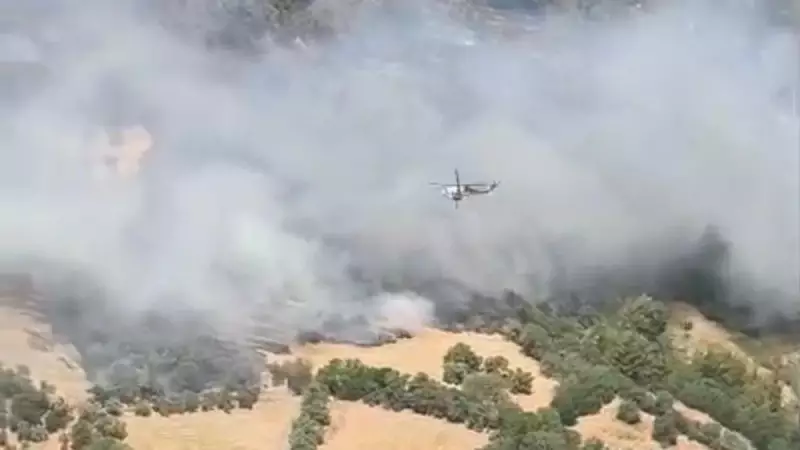 Muğla'da Çıkan Orman Yangını Korku Yarattı: Alevler Rüzgarla Birleşince...