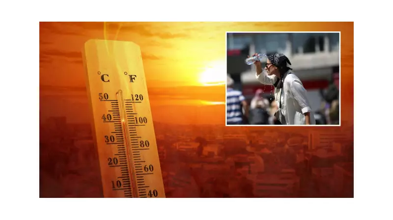 Muğla'da Kavurucu Sıcaklar Kapıda: Orman Yangınlarına Karşı Alınması Gereken Önlemler