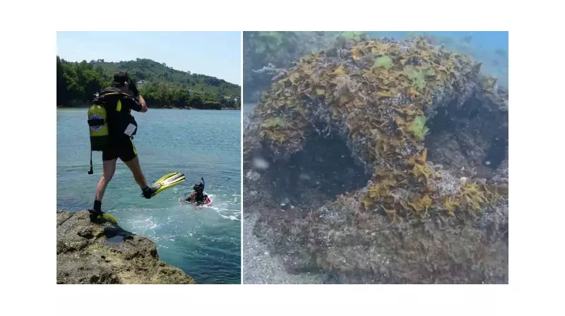 Ordu Kıyılarında Gizemli Cisim! Yetkililer Harekete Geçti